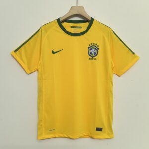 2010 Brazil home